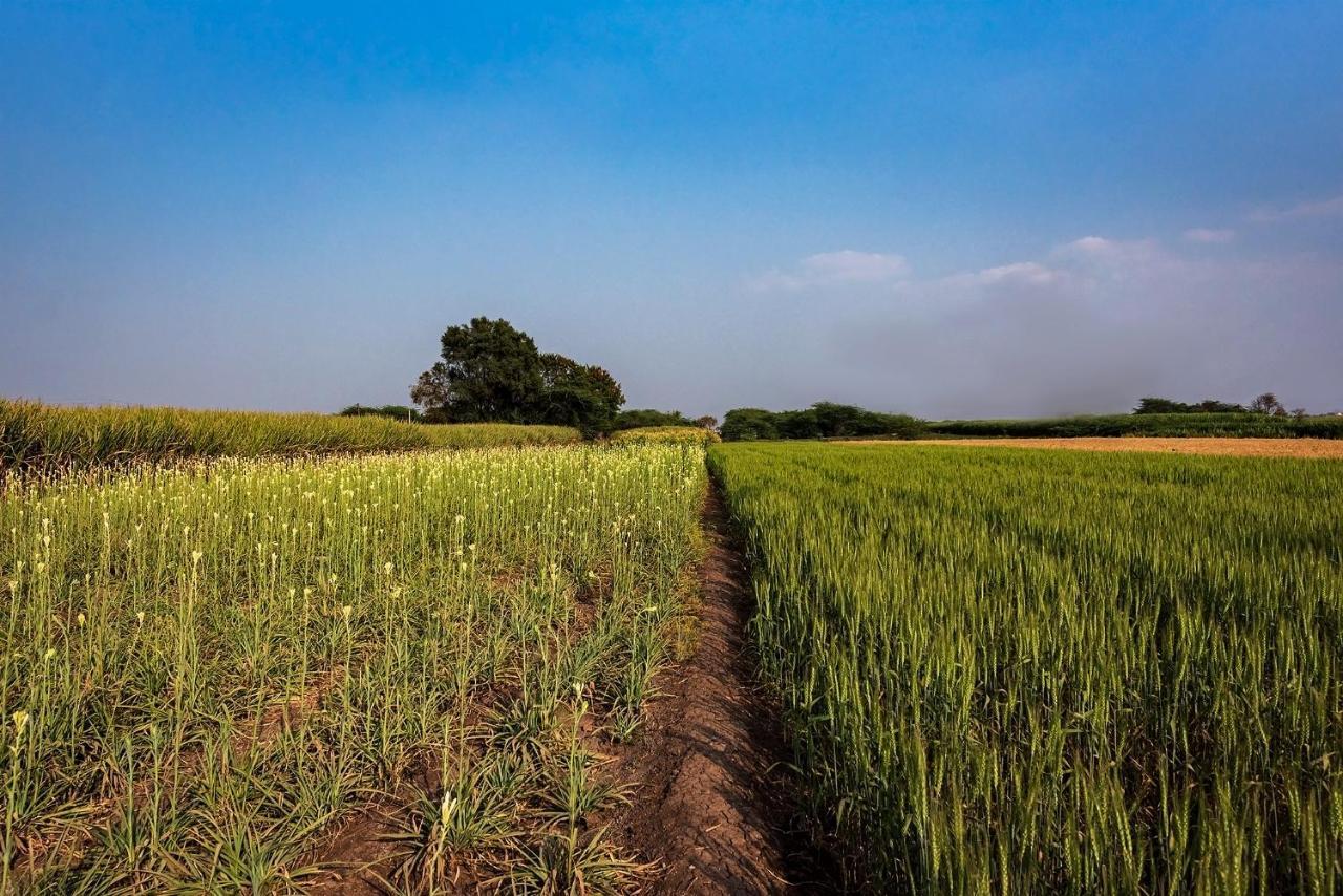 Saffronstays Happy Fields, Pune - Luxury Farmstay With Farm To Table Food Экстерьер фото